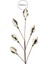Yılbaşı Süsü Konik Dal Altın Beyaz 65 cm 2