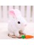 Boutiques Tavşan Doldurulmuş Hayvan, Sesli ve Hareketli Zıplayan Tavşan Oyuncak Interaktif Tavşan Oyuncakları, Zıplayan Tavşan Oyuncak Kıpırdayan Kulaklar Burun Doğum Günü leri (Yurt Dışından) 1