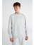 T-Pulse Male Co Regular Crew Neck Sweatshırt 1