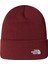 Norm Beanıe Unisex Bere NF0A5FW10VO1 1