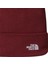 Norm Beanıe Unisex Bere NF0A5FW10VO1 2