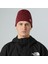 Norm Beanıe Unisex Bere NF0A5FW10VO1 3