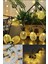 2m 10 LED 2 Kademeli Ananas LED Işık Pilli 1