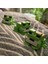 Frog Yeşil Kurbağa Figür 3