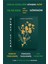 Yaşlanma & Kırışıklık Karşıtı Onarıcı Zengin Krem / Antiage Global 50 ml Yeniden Enejik ve Canlı Cilt Görünümü 7