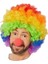 Gökkuşağı Afro Peruk ve Kırmızı Sünger Burun 1