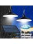 2 Lambalı Iç ve Dış Mekan Kullanımına Uygun, Solar Güneş Enerjili Tavan Aydınlatması, Beyaz Led, IP65 Su Geçirmez, Karavan, Teras, Veranda, Balkon Sarkıt LED Işık, Bahçe Armatürü 2