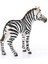 Life-Yavru Zebra 2