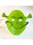 Yeşil Shrek Maskesi 4