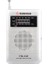 Sonivox VS-R115 Analog Radyo Gümüş Renk 1
