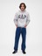 Erkek Gri Relaxed Gap Logo Sweatshirt 5