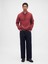 Erkek Kırmızı Relaxed Gap Mini-Logo Sweatshirt 5