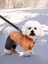 Köpek Kıyafeti - Kapüşonlu Kışlık Tulum - Turuncu - M Beden 3