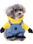 Köpek Kıyafeti Minions Temalı - Kapüşonlu Tulum - Sarı - M Beden 1