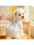 Köpek Elbisesi Doğum Günü – It’s My Birthday Yazılı - Renkli Tül Etekli - Parti Kıyafeti 5