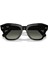 State Street Unisex Siyah Güneş Gözlüğü Rb 2186 901/71 49 5