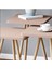 Ahşap Ayaklı Kare Tasarım Üçlü Zigon Sehpa Karedüz Cappuccino 2