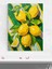 Lemon Grove, Limon Bahçesi Natürmort Mutfak Poster - Afiş - Dekoratif Duvar Poster 1