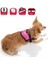 Karlie Reflektörlü Göğüs Tasma S 36-46cm Pembe Renkli 2