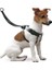 Easy Walker Göğüs Tasma 22*32CM Small 1