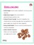Gerçek Ördek Eti ve Pirinç Köpek Ödülü (100 G) 3