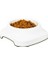 Buffer® Silikon Kaydırmaz Taban Plastik Kedi ve Köpek Mama ve Su Kabı 2 L 4