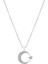 Ravdaflora Ay Yıldız Silver Zirkon Kolye 1