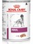 Renal Köpek Yaş Maması 410GR 1