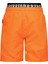 Turuncu Erkek Çocuk Mayo R501-6602-ROCKY Swim Pants With Ext 2