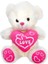Kalpli Peluş Ayı 30 cm 1