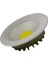 CT-5275-G Zümrüt LED Armatür Saten Kasa Günışığı 30 W 1
