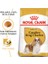 Cavalier King Charles Adult Yetişkin Köpek Maması 1,5 2