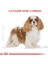 Cavalier King Charles Kuru Köpek Maması 1.5kg 3