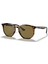 RB4306 710/73 Unisex Güneş Gözlüğü 1