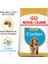 Cocker Yavru Köpek Maması 3kg 1