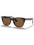 Wayfarer Iı RB2185 902 / 57 3n Unisex Güneş Gözlüğü 1