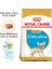 Chihuahua Yavru Köpek Maması 1.5kg 1