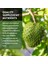 Graviola Elma Tarçını Premium Quality Annona Muricata Active Whole Spectrum Extract Anti Cancer 4