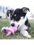 Puppy Binkie Tutma Yeri Olan Yavru Köpek Oyuncağı M 2