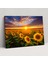 Ayçiçeği Tarlaları Kanvas Tablo - Dünya Ev Dekorasyonu Duvar Sanatı Altın Işık 1