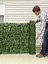 Dekoratif Bahçe Çiti Rulo Plex Sarmaşık Çit 1x3 Metre Uzunluk 1