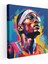 Nba Kanvas Tablo - Pop Art Süperstarı - Nba Nba Süperstarı Karizma 1