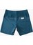 Erkek Deniz Şortu 2
