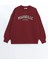 Lcw Vision Bordo Bisiklet Yaka Nakışlı Oversize Kadın Kalın Sweatshirt 5
