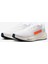 Pegasus 41 "prequel" HF4300-100 3