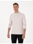 Erkek Taş Regular Fit Sweatshirt 50311649-VR049 1