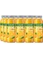 %100 Sıkma Portakal Suyu (12X250 Ml) 1
