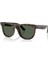 0rb 0502S 6790/VR 50 7