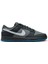 Dunk Low Erkek Sneaker Ayakkabı FV0384-001 1