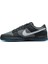 Dunk Low Erkek Sneaker Ayakkabı FV0384-001 3